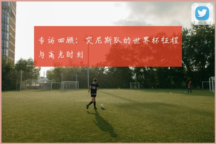 专访回顾：突尼斯队的世界杯征程与高光时刻