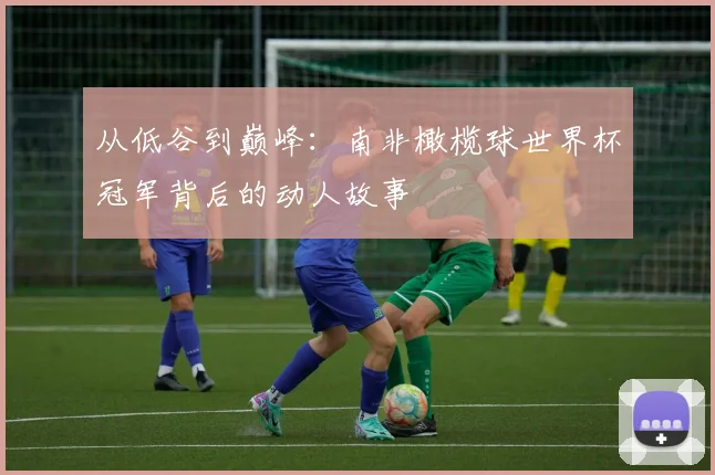 从低谷到巅峰:南非橄榄球世界杯冠军背后的动人故事