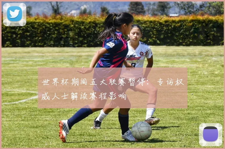世界杯期间五大联赛暂停：专访权威人士解读赛程影响