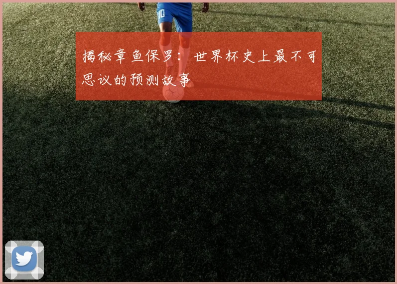 揭秘章鱼保罗:世界杯史上最不可思议的预测故事