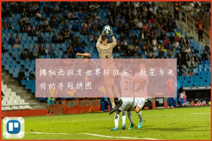 揭秘西班牙世界杯班底：新星与老将的夺冠拼图