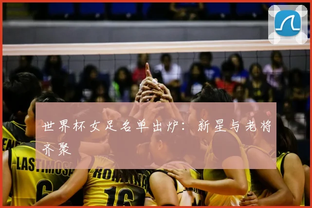 世界杯女足名单出炉:新星与老将齐聚