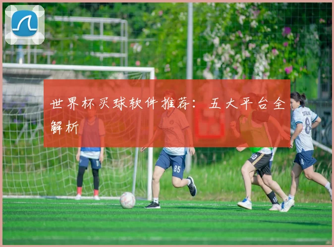 世界杯买球软件推荐：五大平台全解析